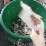 compost