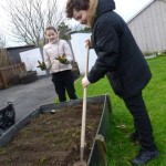 raisedbed