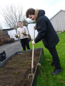 raisedbed