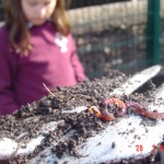 23 March 2012 031