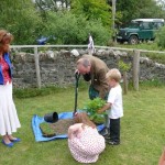 Tree Planting web