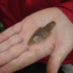 arrow head