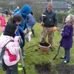 Kilcreggan TREE PLANTING SAM_2230