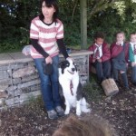 St Josephs Community Planned Partnership 1
