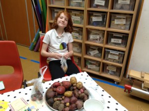 Dalamlly Fair Trade 3