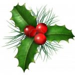 15086881-christmas-holly-with-with-red-berries-and-green-leaves-with-evergreen-pine-needles-isolated-on-a-whi