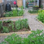 Dalintober 1 Allotment SAL