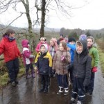 Rockfield PS Drover 1