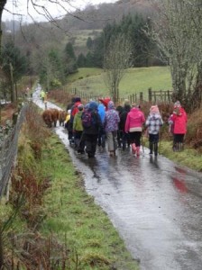 Rockfield PS Drovers 2
