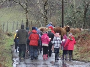 Rockfield PS Drovers 3