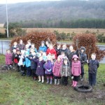Sandbank PS Fruitshare 1