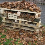 Garelochhead PS Bug hotel best 1