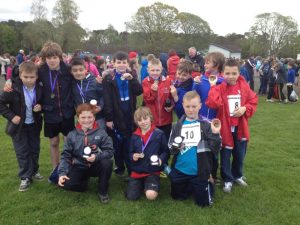 Cardross Duchess Wood Toyota Relay