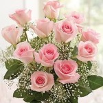 roses
