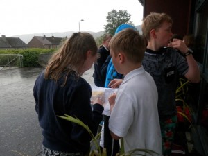 Sandbank PS Gaelic Pupils Transition 3