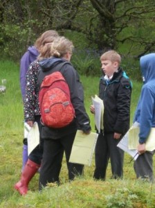 Sandbank PS Gaelic Transition 5