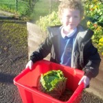 Strath of Appin One Planet Cabbage