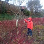 Oban Learning Centre sensory exploration 9