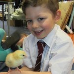 St Joes LIVING EGGS 2