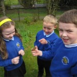 Garelochhead Butterflies 1