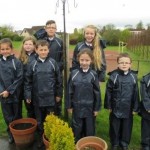 St Jospehs PS Outdoor Learning 1