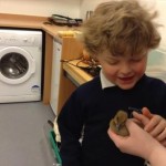 Rockfield PS LC Duck 1