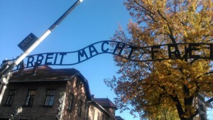 DGS Auschwitz 2