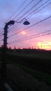 DGS Auschwitz 3