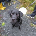 Salen PS Sponsored Walk 2