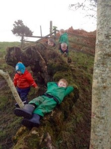 Rhunahaorine Nature Play 2