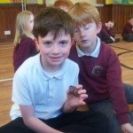 Strachur Zoo lab