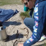 OWLS at Stramash May 31