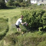 Port Ellen Orienteeing 1 June 2016