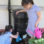 Salen Gardening Diary 2 June 6 206