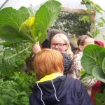 First Harvest from Strachur PS 1