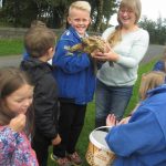 salen-eco-1-sept-2016