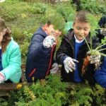 St Andrews Harvest 1 Sept 2016
