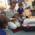 strachur-pre5-pets-1