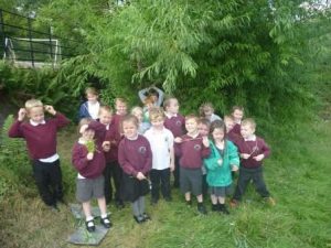 strachur-tree-topic-2